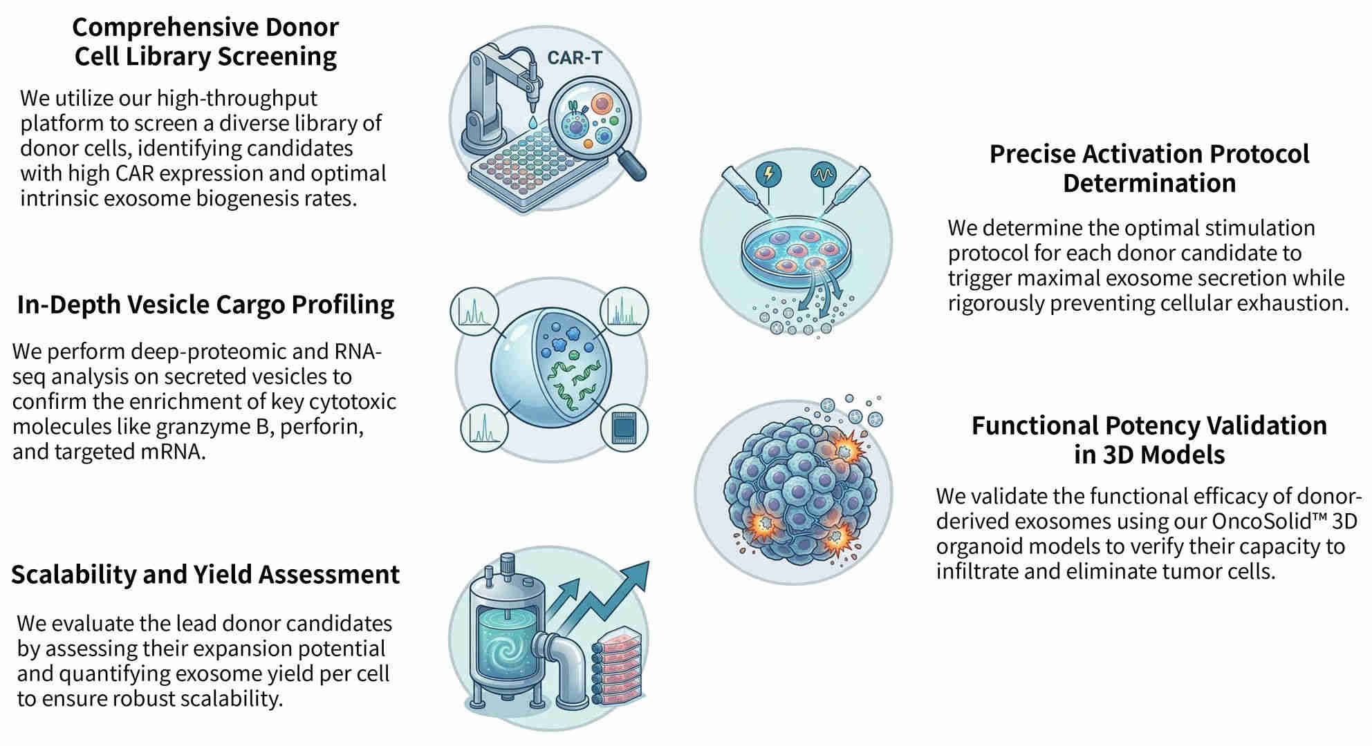 Workflow of donor cell selection for CAR-T augmenting exosomes at Creative Biolabs. (Creative Biolabs Original)