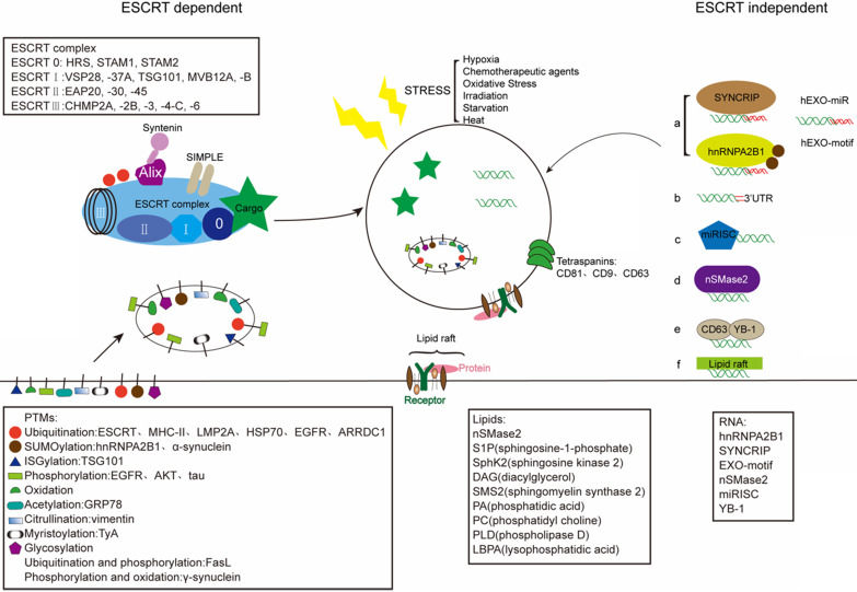 Fig.1 Diagrammatic overview of exosome isolation. (OA Literature)