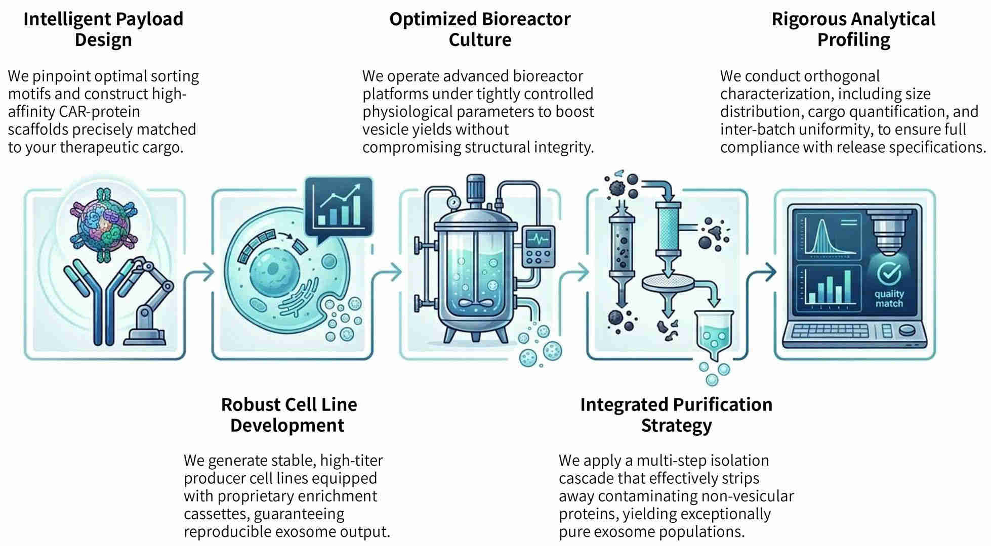 Workflow of precision CAR-protein enrichment & exosomal sorting technology at Creative Biolabs. (Creative Biolabs Original)