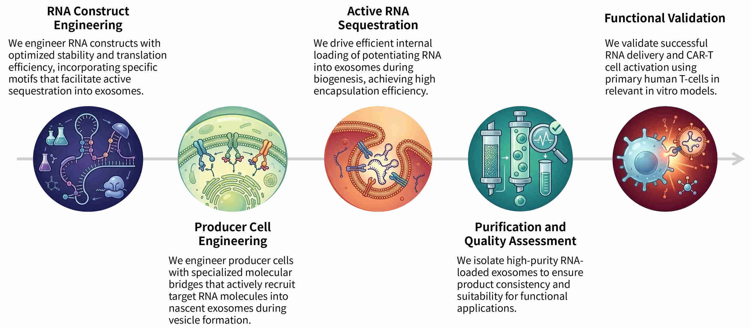 Workflow of precision CAR-protein enrichment & exosomal sorting technology at Creative Biolabs. (Creative Biolabs Original)