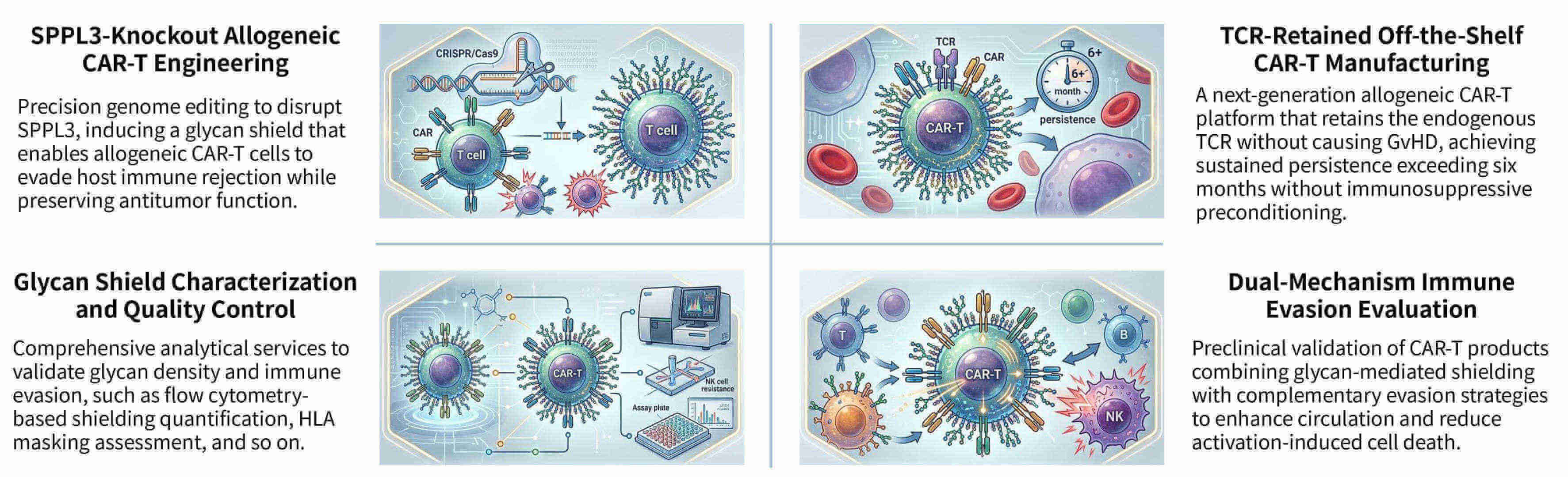 Featured services of precision CAR-protein enrichment & exosomal sorting technology at Creative Biolabs. (Creative Biolabs Original)