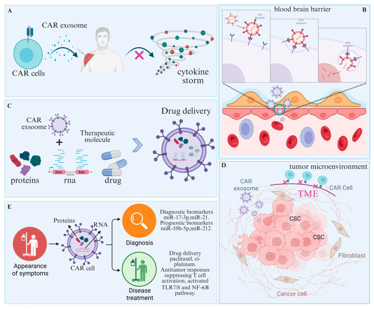 Fig.1 Advantages offered by CAR cellular-derived exosome platforms. (OA Literature)