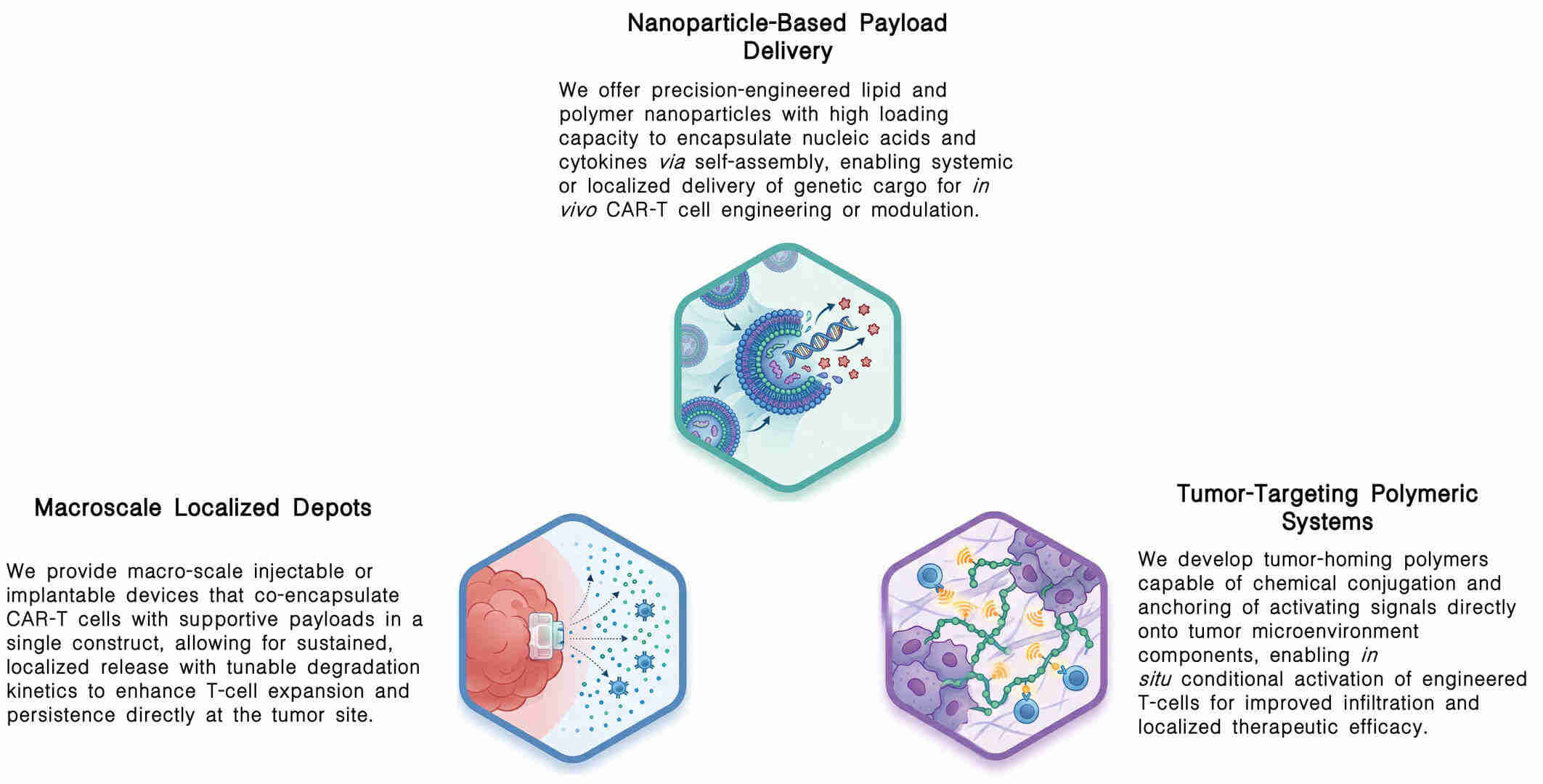Featured services of standardized physical loading protocols for CAR-T support payloads at Creative Biolabs. (Creative Biolabs Original)