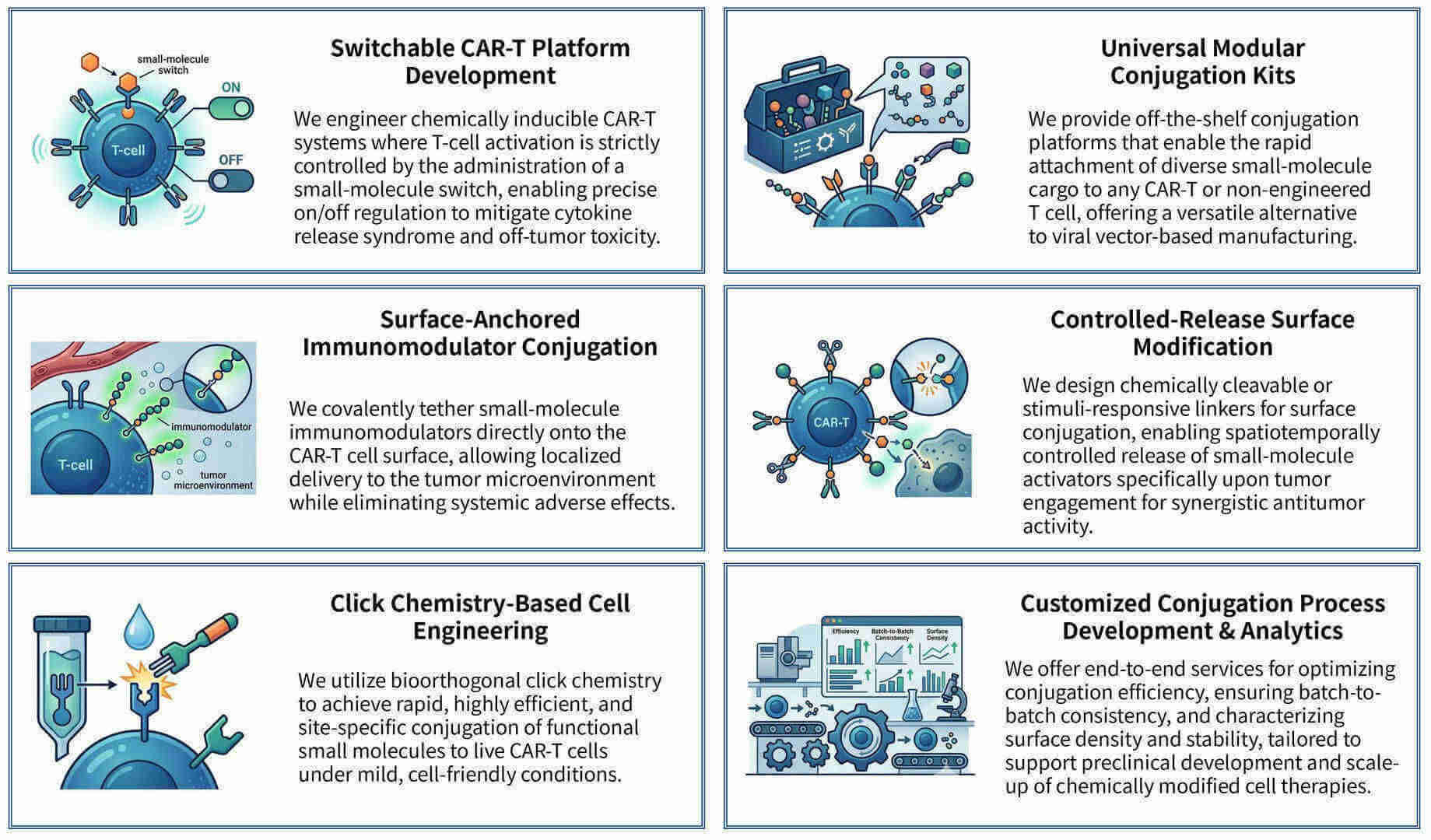 Featured services of chemical conjugation of CAR-T activating small molecules at Creative Biolabs. (Creative Biolabs Original)