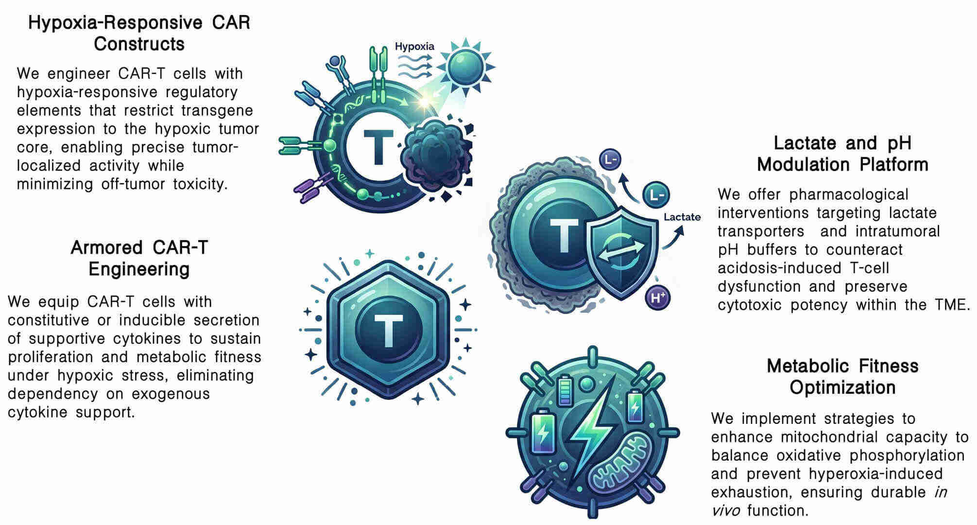 Featured services of oxygenation support & hypoxia alleviation for CAR-T revitalization at Creative Biolabs. (Creative Biolabs Original)