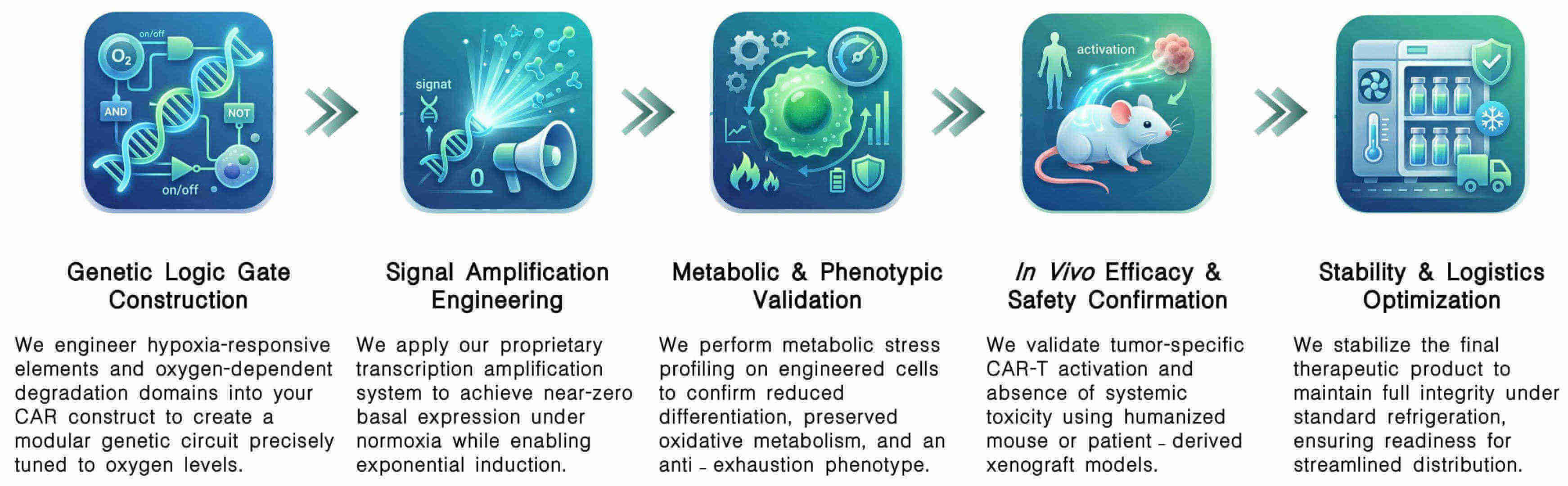 Workflow of oxygenation support & hypoxia alleviation for CAR-T revitalization at Creative Biolabs. (Creative Biolabs Original)
