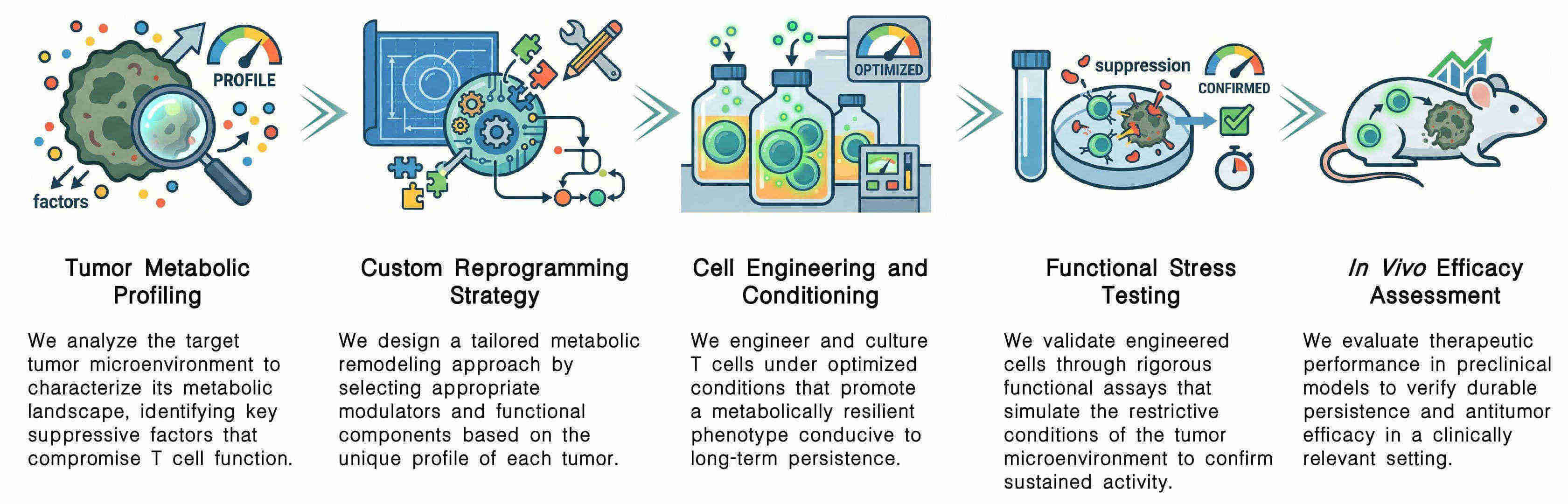 Workflow of metabolic TME remodeling for improved CAR-T persistence at Creative Biolabs. (Creative Biolabs Original)