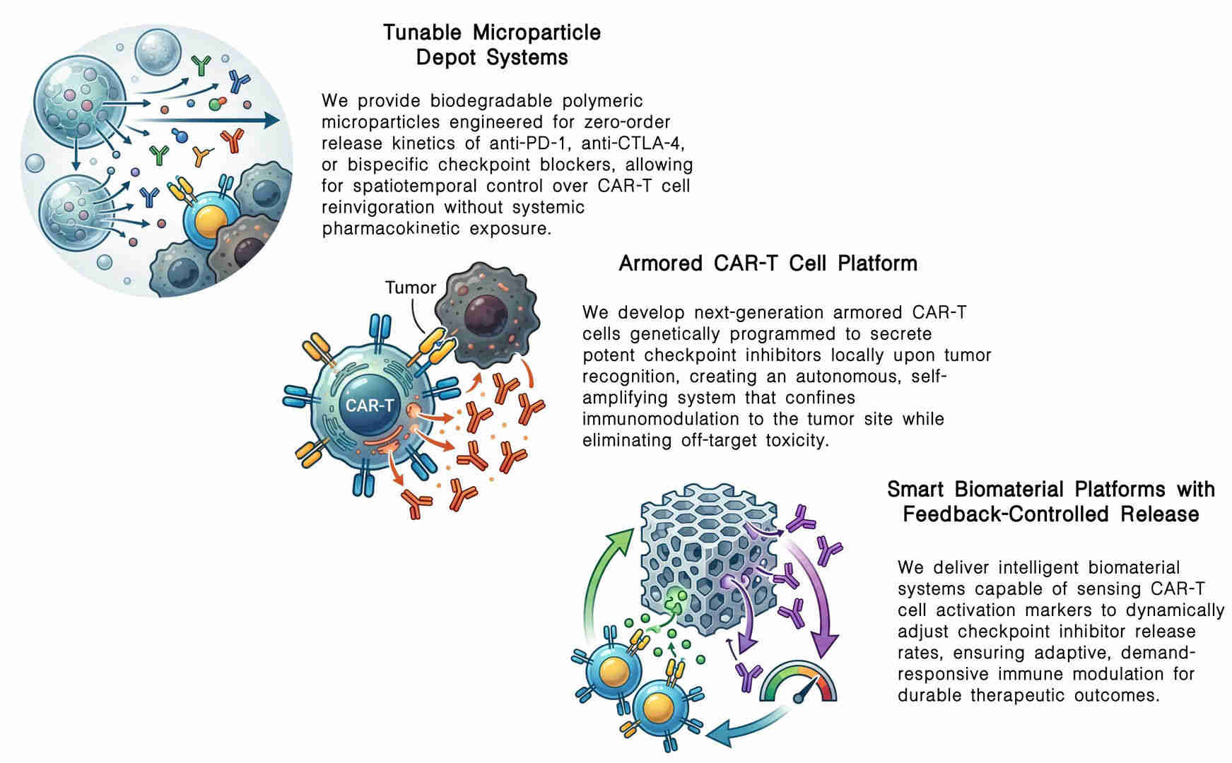 Featured services of localized sustained release for long-term CAR-T checkpoint inhibition at Creative Biolabs. (Creative Biolabs Original)