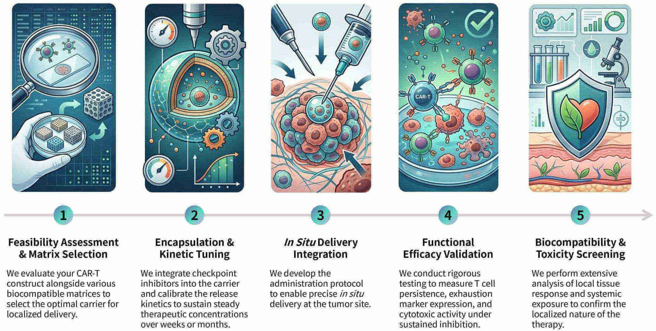 Workflow of localized sustained release for long-term CAR-T checkpoint inhibition at Creative Biolabs. (Creative Biolabs Original)