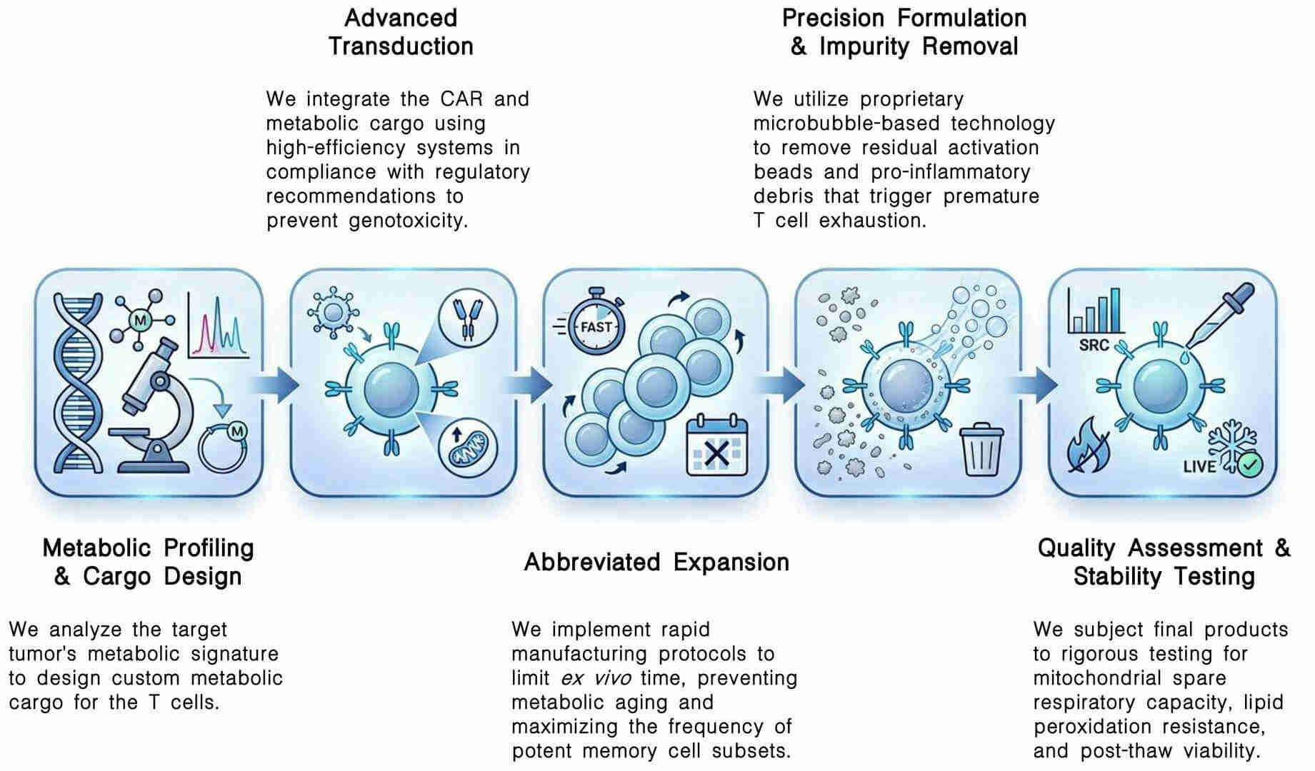 Workflow of cargo loading & formulation for CAR-T potentiation at Creative Biolabs. (Creative Biolabs Original)
