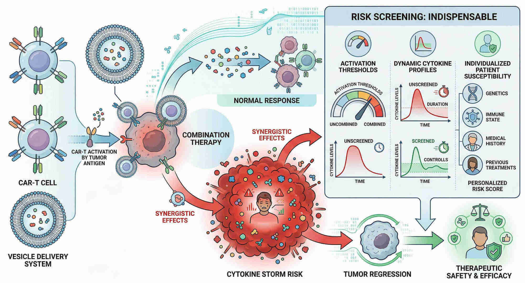 Fig.1 CRS risk profiling for combinatorial approaches involving CAR-T cells and vesicles. (Creative Biolabs Original)