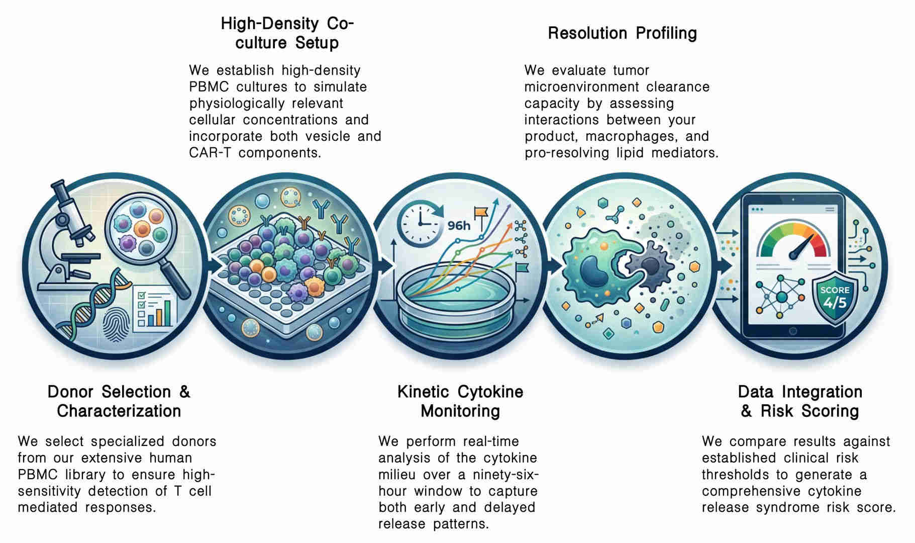 Workflow of CRS risk screening for CAR-T + vesicle combinations at Creative Biolabs. (Creative Biolabs Original)