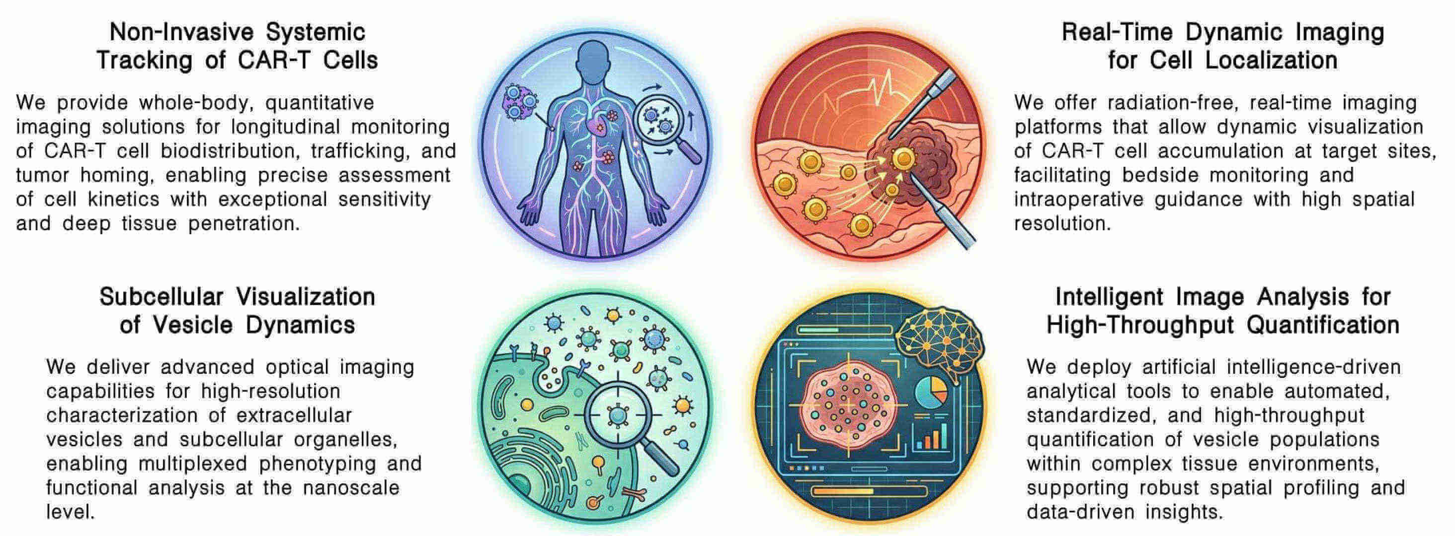 Featured services of spatiotemporal imaging of vesicle accumulation & CAR-T homing at Creative Biolabs. (Creative Biolabs Original)