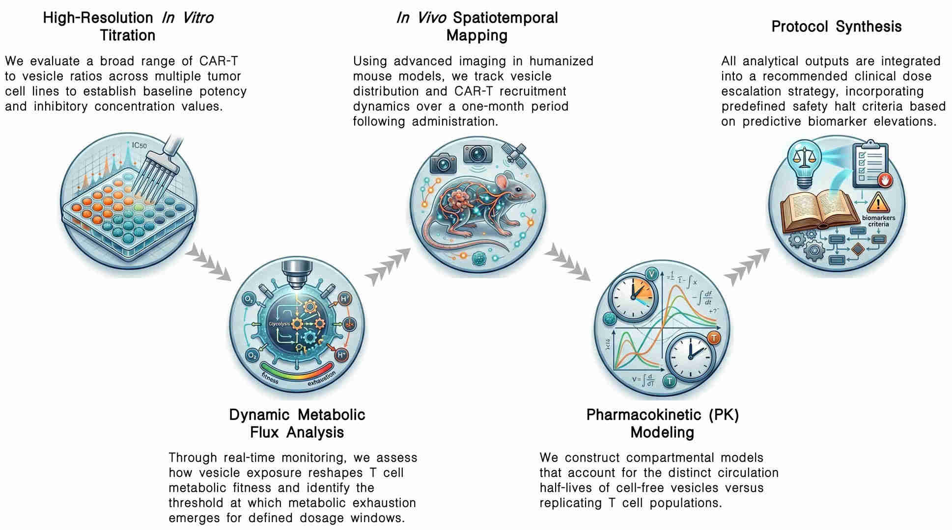 Workflow of dose-response mapping for CAR-T + vesicle clinical protocol design at Creative Biolabs. (Creative Biolabs Original)