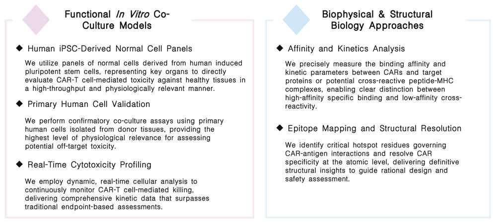 Featured services of TCR studies for induced CAR-T targets at Creative Biolabs. (Creative Biolabs Original)