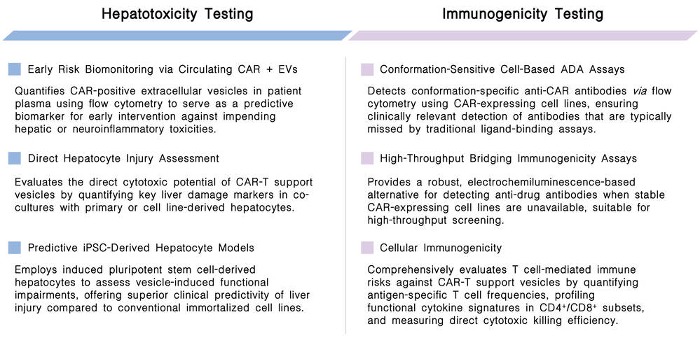 Featured services of hepatotoxicity and immunogenicity testing of CAR-T support vesicles at Creative Biolabs. (Creative Biolabs Original)