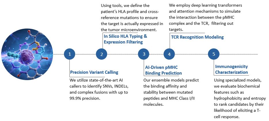 Workflow of AI-Integrated Tumor Antigen Discovery. (Creative Biolabs Original)