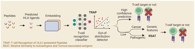 Fig.1 Predicting MHC-I-presented pathogenic peptides with deep learning. (OA Literature)