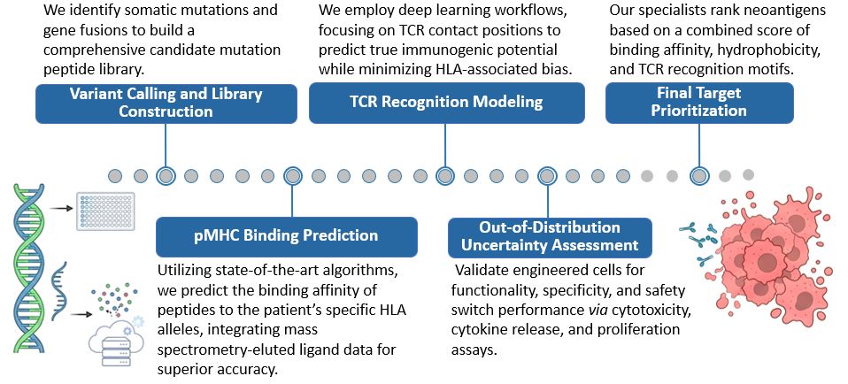 Workflow of AI-Powered Neoantigen Prediction Service for TCR-T Development. (Creative Biolabs Original)