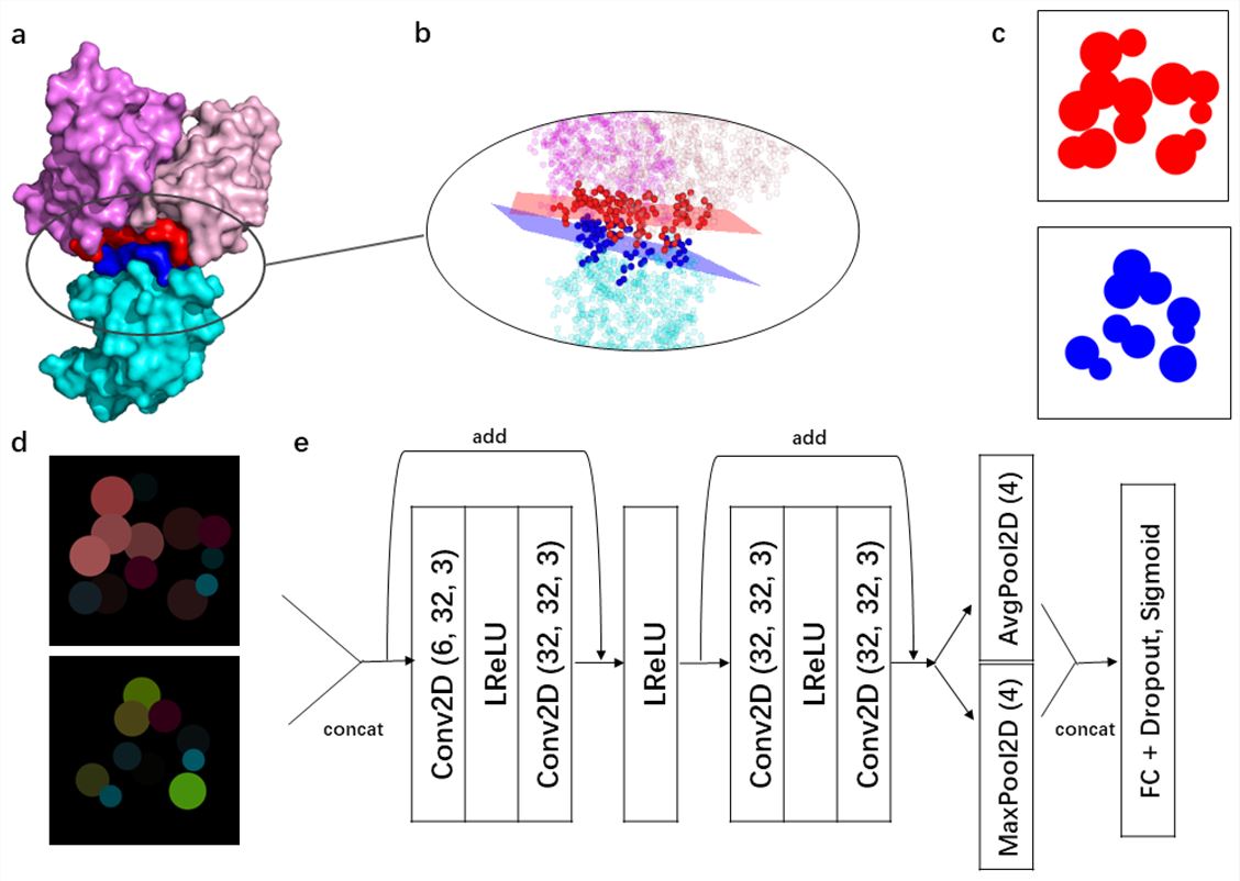 Schematic of the Machine Learning-Based Pipeline for Paratope-Epitope Binding Probability Prediction. (OA Literature)