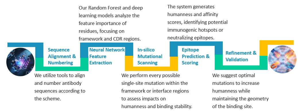 Workflow of AI-Optimized Binder Humanization Service. (Creative Biolabs Original)
