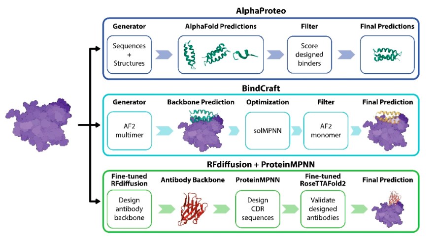 Fig.1 Machine learning frameworks for de novo binder design and antibody engineering. (OA Literature)