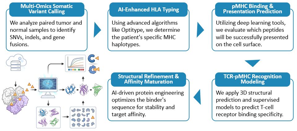 Workflow of AI-Driven Target & Binder Discovery Service. (Creative Biolabs Original)
