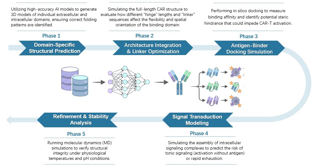 Workflow of AI-Based CAR Architecture Modeling Service. (Creative Biolabs Original)