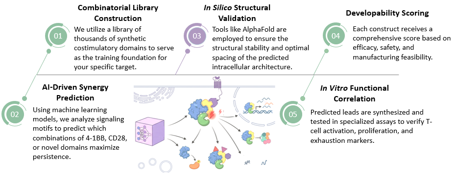 Workflow of AI-Predicted Signaling Domain Synergies Service. (Creative Biolabs Original)