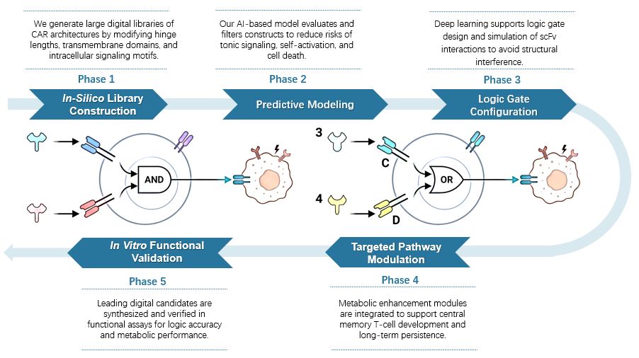 Workflow of AI-Designed Logic Gated (AND/OR/NOT) CARs Service. (Creative Biolabs Original)