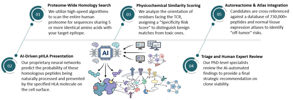 Workflow of AI-Driven Off-Target Toxicity Prediction Service. (Creative Biolabs Original)