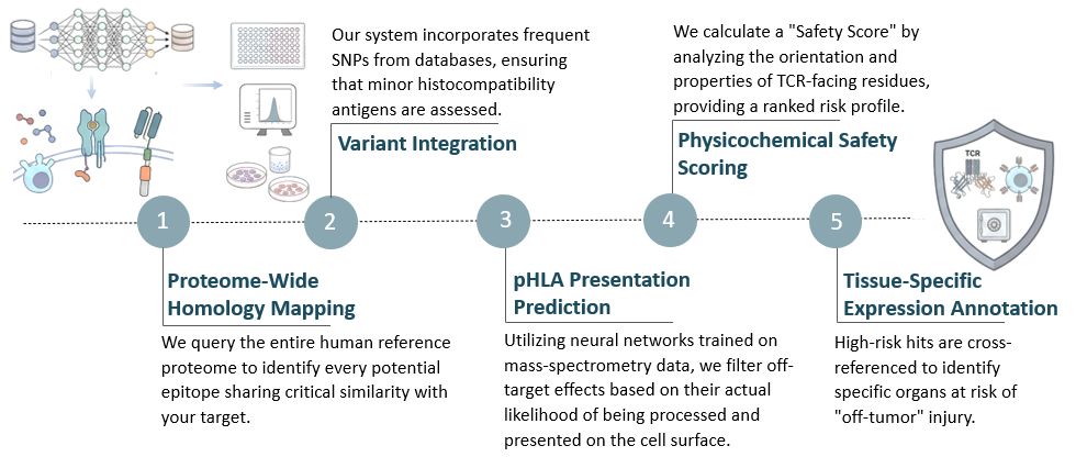 Workflow of AI-Powered Safety & Specificity Profiling for CAR/TCR Development. (Creative Biolabs Original)