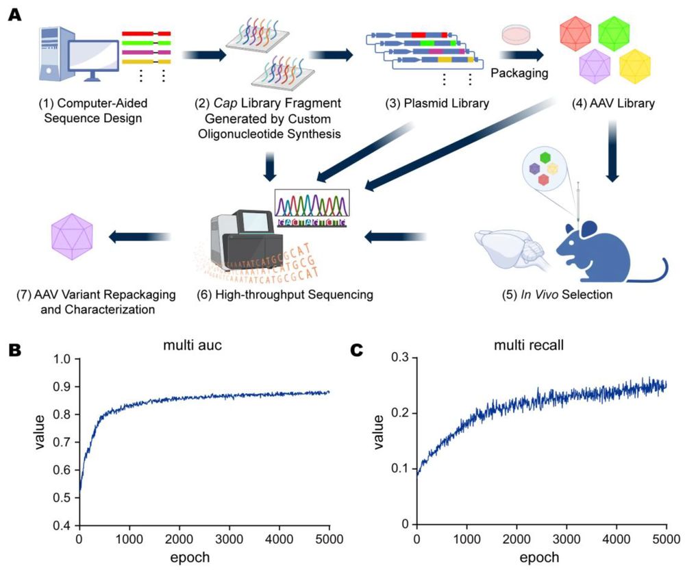 Design and Validation of Machine Learning Model Paradigms. (OA Literature)