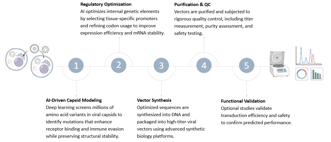 Workflow of AI-Optimized Viral Vector Design & Synthesis Service. (Creative Biolabs Original)