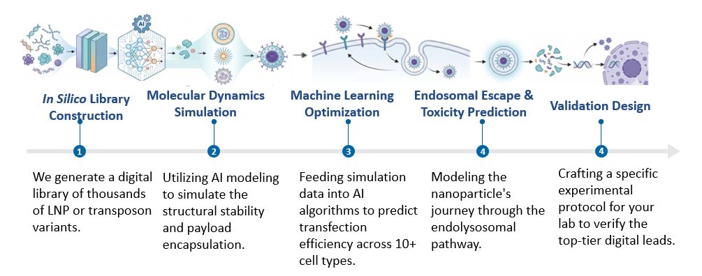 Workflow of AI-Enhanced Non-Viral Delivery System Modeling Service. (Creative Biolabs Original)
