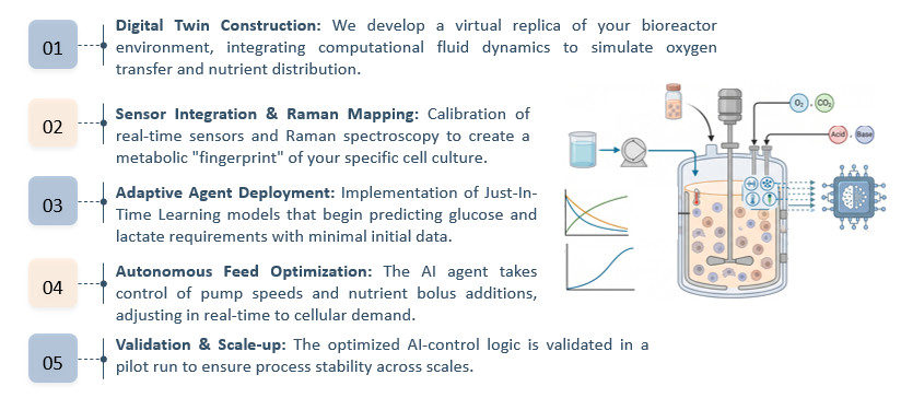 Workflow of AI-Driven Automated Cell Expansion Control Service. (Creative Biolabs Original)