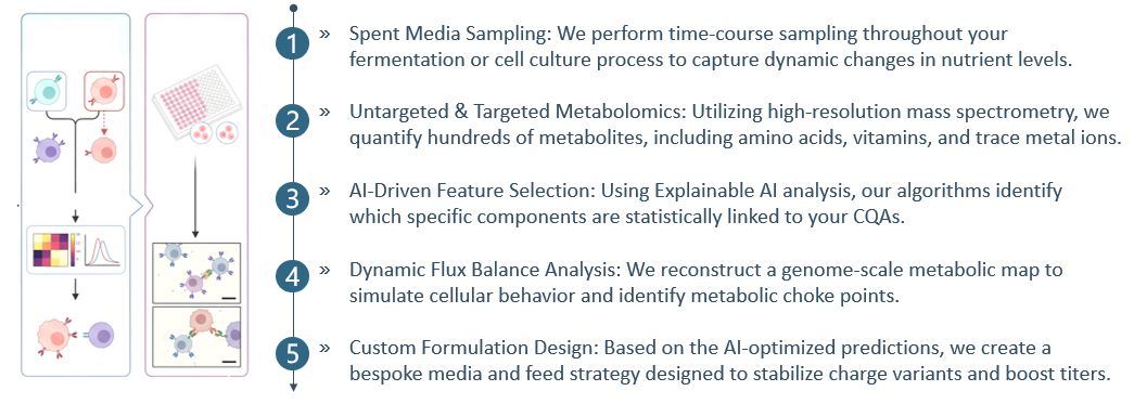 Workflow of AI-Assisted Metabolomic Profiling for Media Optimization Service. (Creative Biolabs Original)