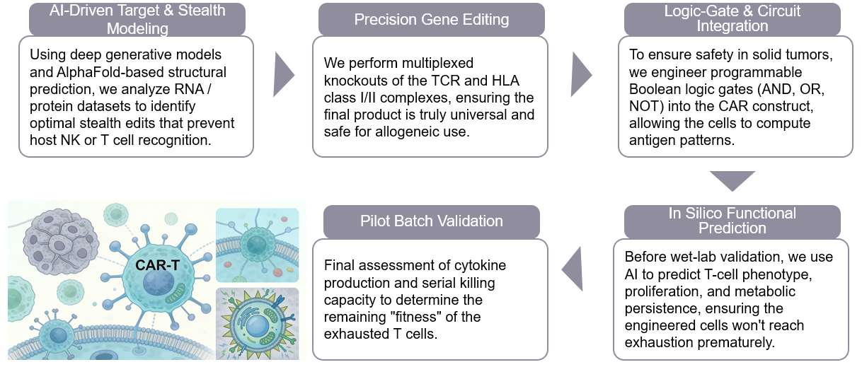 Workflow of AI-Customized Solutions for Universal (Off-the-shelf) CAR-T. (Creative Biolabs Original)