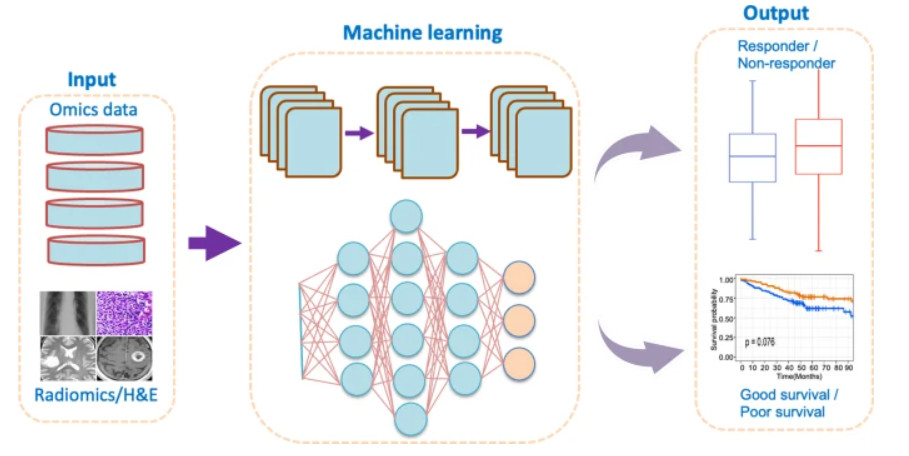 AI machine learning model for predicting CAR-T therapy outcomes. (OA Literature)