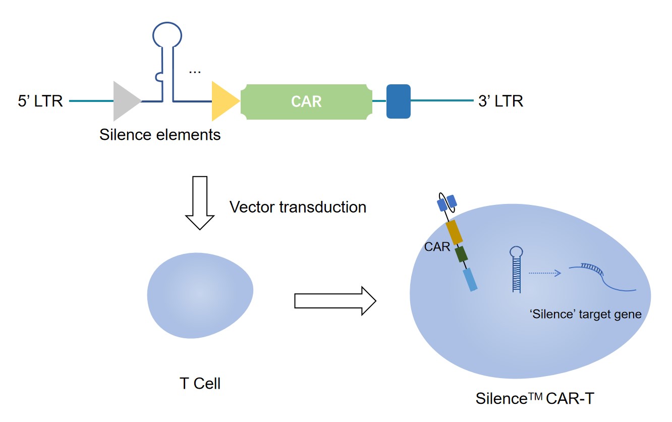 Silence™ CAR-T cell platform.