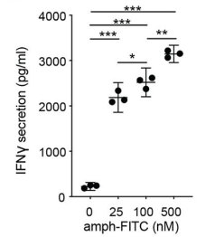 Fig.4 IFN-γ secretion. (Ma, et al., 2019)