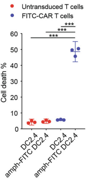 Fig.5 In vitro killing of target cells. (Ma, et al., 2019)