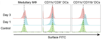 Fig.4 FACS analysis of cellular biodistribution of amph-ligand. (Ma, et al., 2019)
