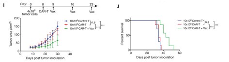 Fig.9 Survival analysis. (Ma, et al., 2019)