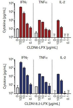 Fig.2 Cytokine test of CAR-T cells co-culture with claudin-expressing DCs by a multiplex assay. (Reinhard, et al., 2020)