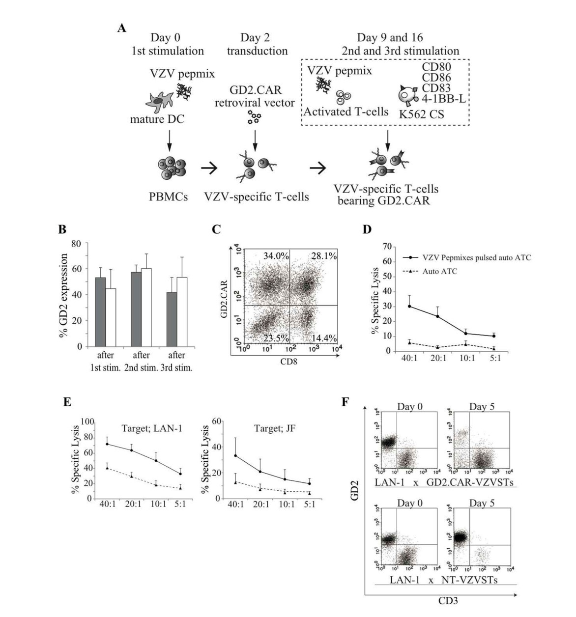 Fig.2 CARs Can Be Expressed In VZVSTs And Have Functional Specificity For Both VZV And GD2. (Tanaka, et al., 2017)