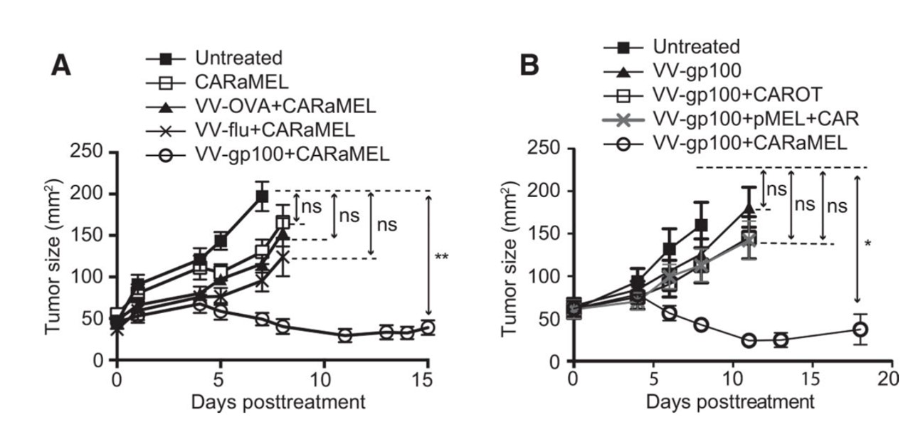 Fig.2 Specific Vaccinia Virus And Dual-specific T Cells Are Required For Optimal Antitumor Activity. (Slaney, et al., 2017)