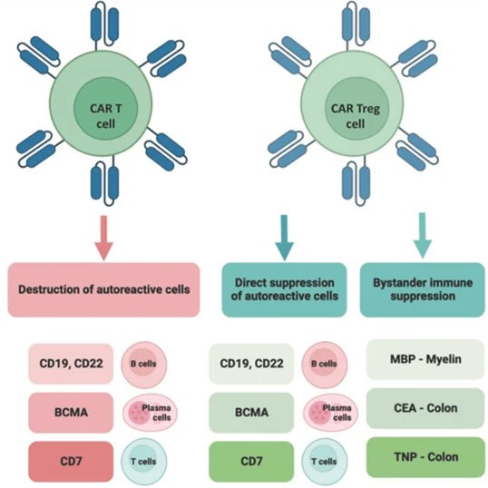 Fig.1 CART strategies. (Műzes & Ferenc, 2023)