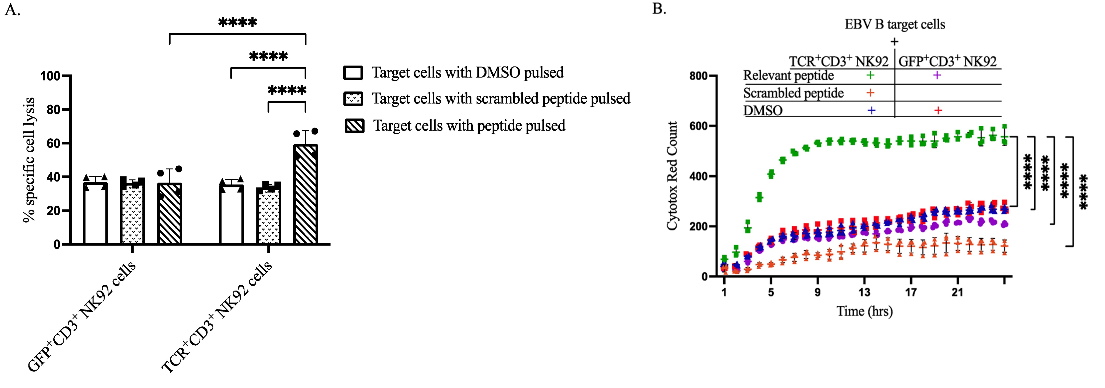 Fig.2 Cytotoxicity of sorted genetically modified NK cells upon co-cultured with target cells. (OA Literature)