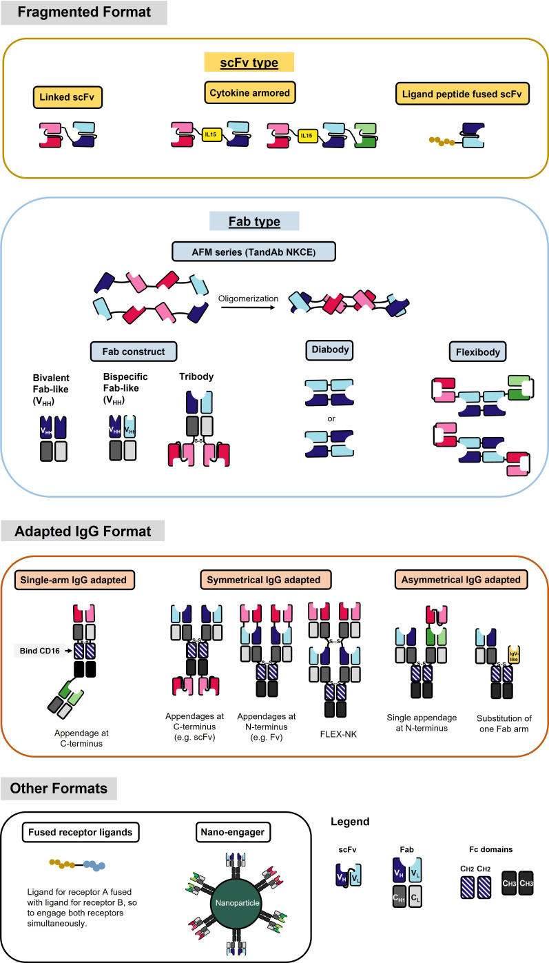 Diverse structural formats of emerging NK cell engagers. (OA Literature)